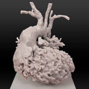 A 3D-printed model of the human heart is seen with a moderate level of detail.