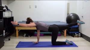 A still from a video shows a person performing the Bird Dogs exercise.
