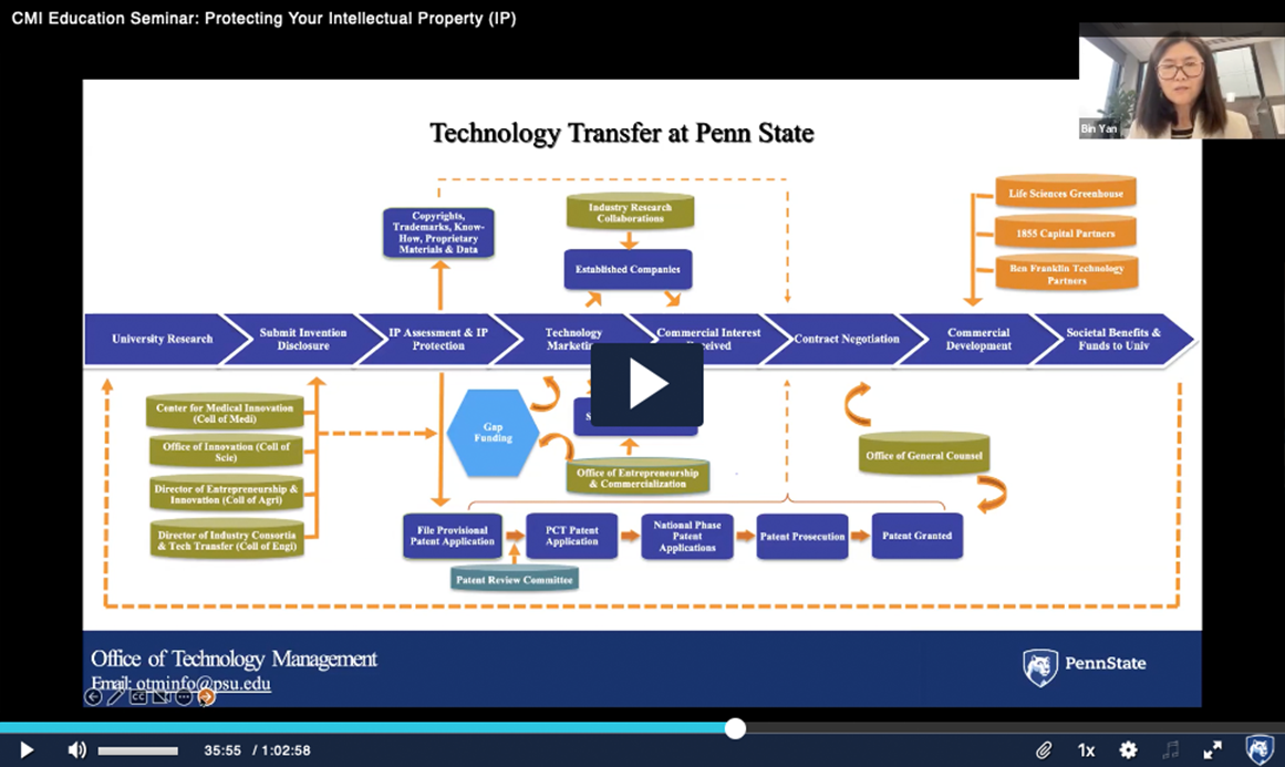 Video screenshot of a webinar showing process flow diagram slide and small thumbnail view of the female speaker.