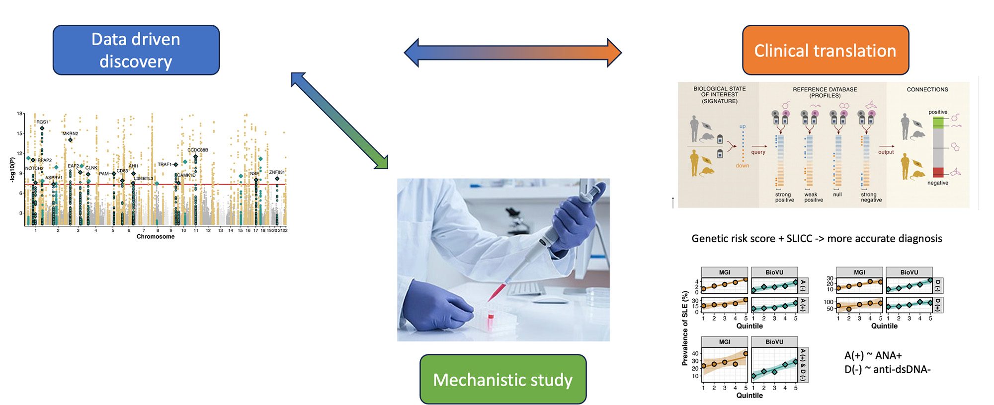Data driven discovery with arrows between it and Clinical translation and Mechanistic study, with images used for decorative purposes