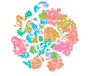 Depiction of RNA sequencing